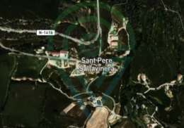 Sant Pere Sallavinera, Barcelona.